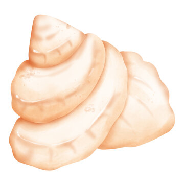 Cute adorable triton shell in watercolor hand draw illustration for summer shell theme