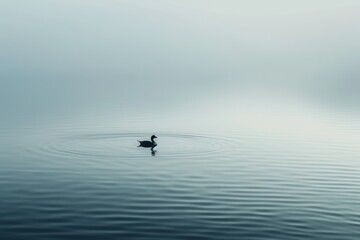 duck peacefully floating in a tranquil lake water, featuring soft, diffused lighting and minimalist surroundings to convey the sense of calm and relaxation experienced while floating, copy space