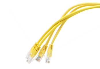 Yellow network cables with molded RJ45 plug on transparent background (PNG File)