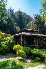 A gazebo in the Japanese style among the trees in the park. Wooden house in Asian style forest