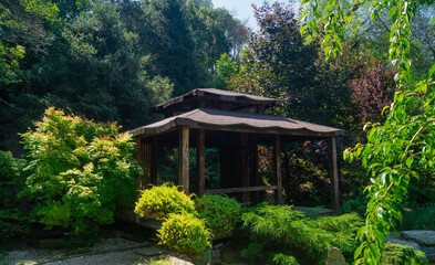 A gazebo in the Japanese style among the trees in the park. Wooden house in Asian style forest