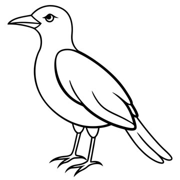 recommend clip art: A Bird line art vector