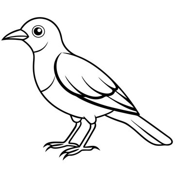 recommend clip art: A Bird line art vector