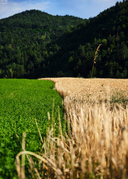 Foto scattata lungo la strada che connette Cabella Ligure a Cantalupo Ligure nella famosa Val Borbera.