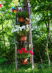 Foto scattata all'ingresso di Cosola, nella famosa Val Borbera in provincia di Alessandria.