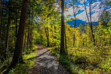 Fall - Autumn in the Walgau Valley, State of Vorarlberg, Austria