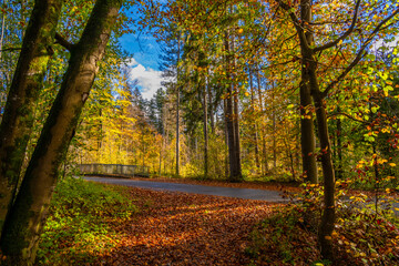 Fall - Autumn in the Walgau Valley, State of Vorarlberg, Austria