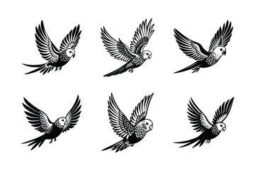 set of flying budgerigar bird Black Silhouette Bundle - Stunning Vector Illustrations for Wild or domestic animals Nature Lovers, isolated on white