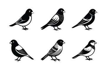 set of bird Black Silhouette Bundle - Stunning Vector Illustrations for Wild or domestic animals Nature Lovers, isolated on white