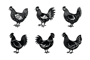 set of hen chicken Black Silhouette Bundle - Stunning Vector Illustrations for Wild or domestic animals Nature Lovers, isolated on white