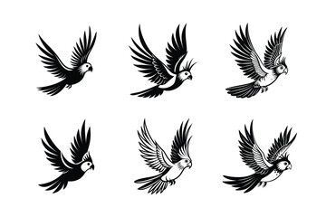 set of flying Cockatiel Parrots Bird Black Silhouette Bundle - Stunning Vector Illustrations for Nature Lovers, isolated on white