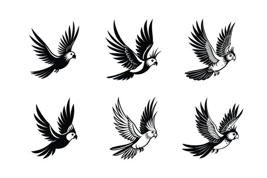 set of flying Cockatiel Parrots Bird Black Silhouette Bundle - Stunning Vector Illustrations for Nature Lovers, isolated on white
