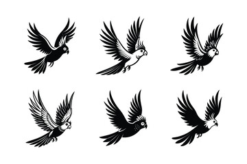 Obraz premium set of flying Cockatiel Parrots Bird Black Silhouette Bundle - Stunning Vector Illustrations for Nature Lovers, isolated on white