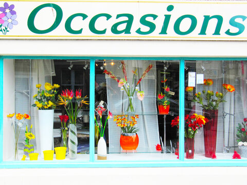 SCOTLAND 1 : Flowers shop in Eyemouth, Scotland, UK, Europe