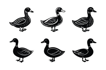 set of Duck Black Silhouette Bundle - Stunning Vector Illustrations for Nature Lovers, isolated on white