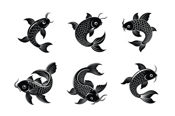 koi fish isolated on white for T-shirt Designs -vector illustration 