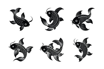 koi fish isolated on white for T-shirt Designs -vector illustration 