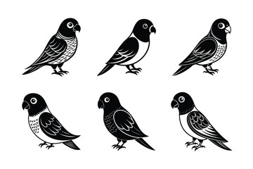 lovebird isolated on white For T-shirt Designs