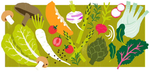 Vegetables vector Illustration pack.