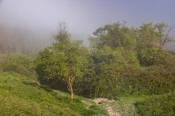 Obraz premium A misty morning on Ditchling Beacon in the South Downs