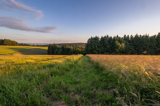 Feldweg zur blauen Stunde