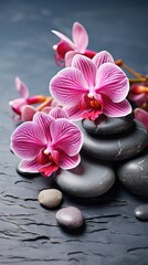 a purple and pink orchid is surrounded by rocks.