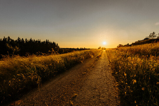 Sonnenuntergang &uuml;ber einem Feld im Westerwald vintage 2
