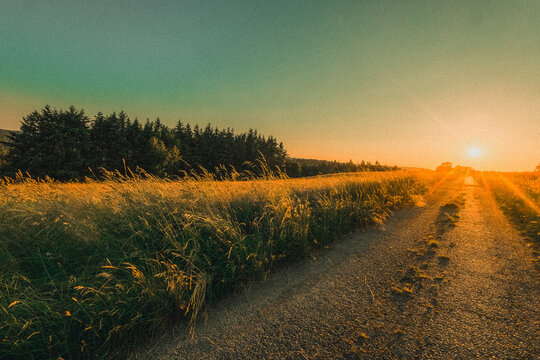 Sonnenuntergang &uuml;ber einem Feld im Westerwald 9