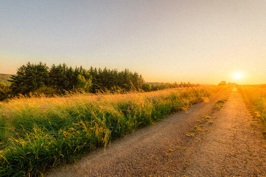 Sonnenuntergang &uuml;ber einem Feld im Westerwald 5