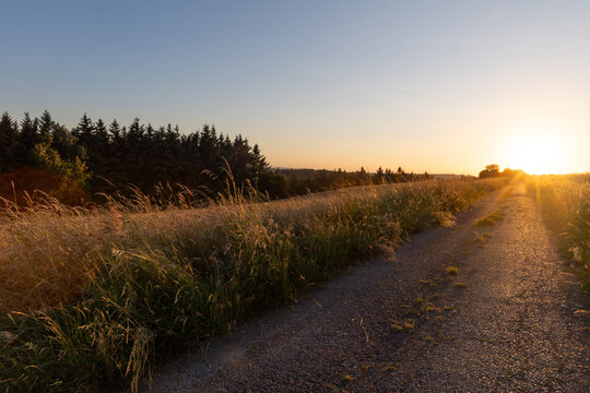 Sonnenuntergang &uuml;ber einem Feld im Westerwald 3