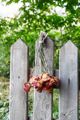 A bouquet of dried roses hanging on wooden fence.