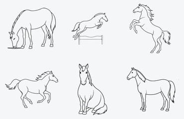 Exquisite Collection of Horse Line Art Vectors