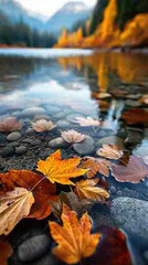 Obraz premium Autumn colorful background, fall backdrop
