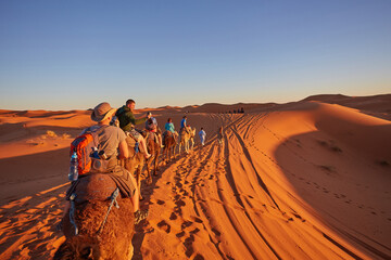 Tourists riding camels, smiling, in the Sahara Desert