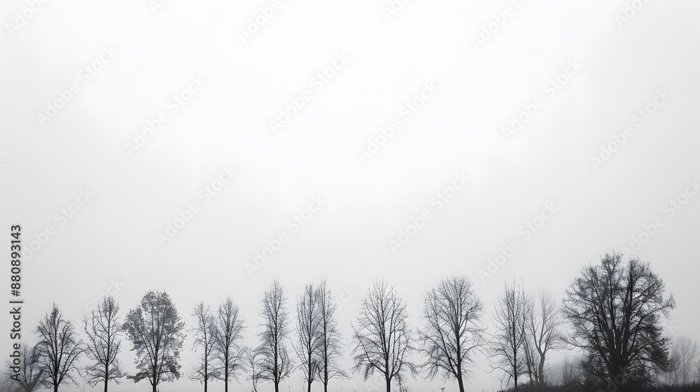 Wall mural a row of trees are lined up in a field