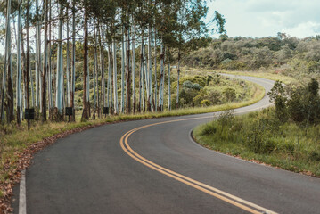 road in the forest