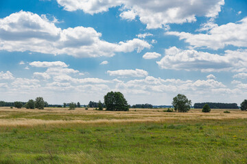 Fototapeta premium Landscape with meadows on a flatland in Poland during summer season
