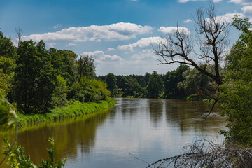 Fototapeta premium The valley of the bug river, which is the natural border between Poland and Belarus