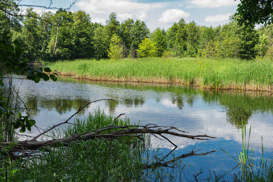 Natural landscape of an oxbow lake near to a river of bug