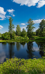 Natural landscape of an oxbow lake near to a river of bug