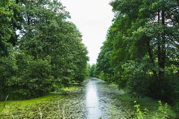 landscape of an old river bed in the bug river valley, the banks of which are overgrown with trees
