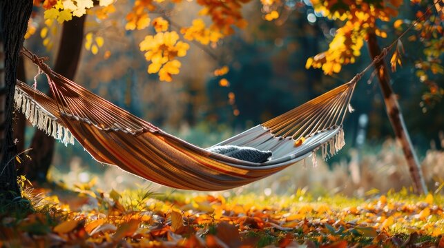Autumn garden hammock for weekend relaxation outdoors