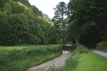 Dolinki pod krakowskie. Piękna letnia pogoda wczesnym rankiem w Polsce. Okolice Ojcowa i Skały.