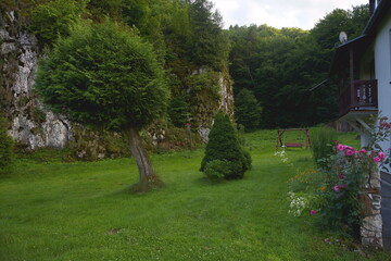 Dolinki podkrakowskie. Piękna letnia pogoda wczesnym rankiem w Polsce. Okolice Ojcowa i Skały. ogród.
