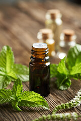 A dropper bottle of aromatherapy essential oil with fresh peppermint leaves