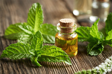 A transparent bottle of aromatherapy essential oil with fresh peppermint leaves