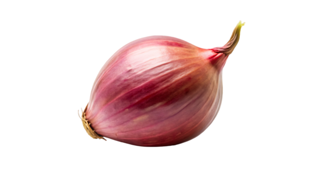 A fresh shallot sits alone on a white background