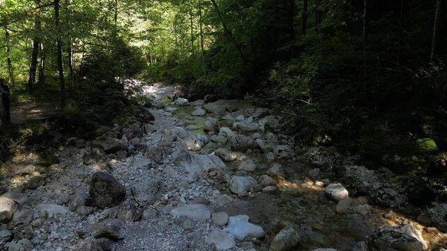 Luftaufnahme des Waldes vorm Schloss Neuschwanstein, sowie der P&ouml;llatschlucht