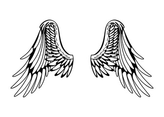 Wings sketch. Stylized birds wings. Hand drawn contoured stiker wing in open position. Vector design elements in coloring style