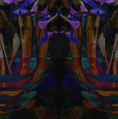 Expression of a magical kaleidoscope. Symmetry abstract background with multicolored feathers,  collage illustration